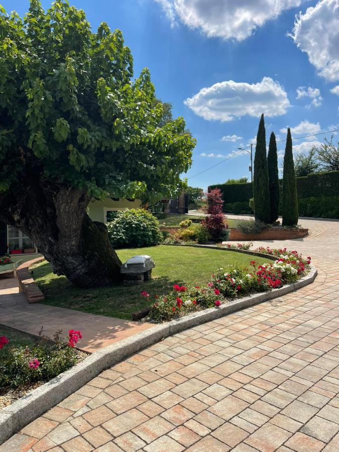 B&B La Bianchina Monale Bagian luar foto