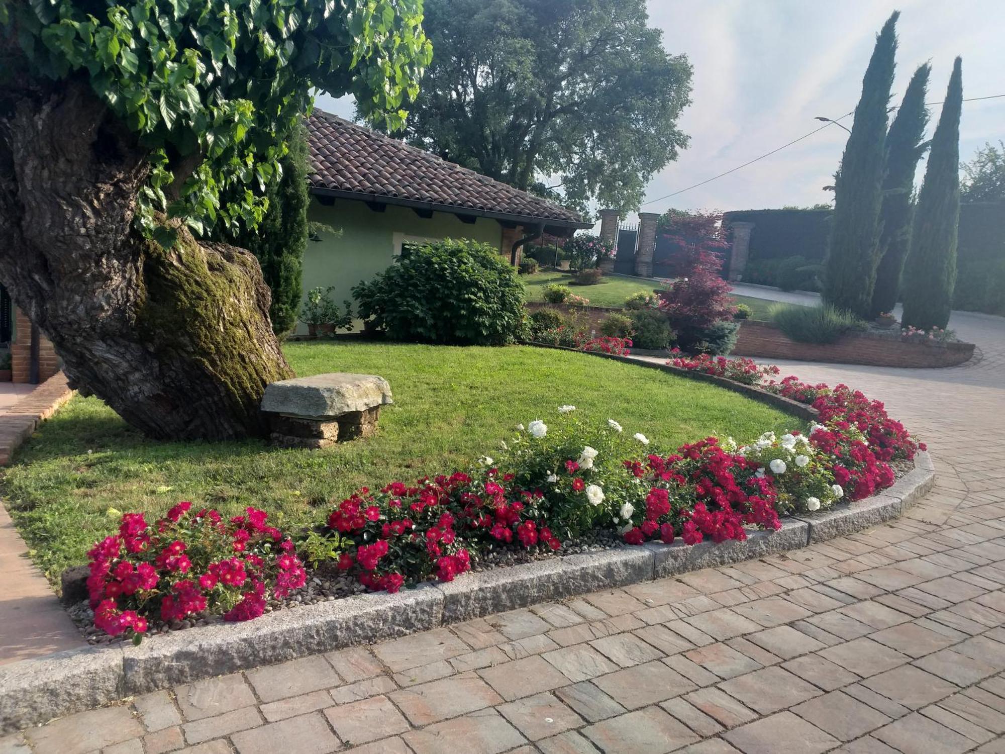 B&B La Bianchina Monale Bagian luar foto