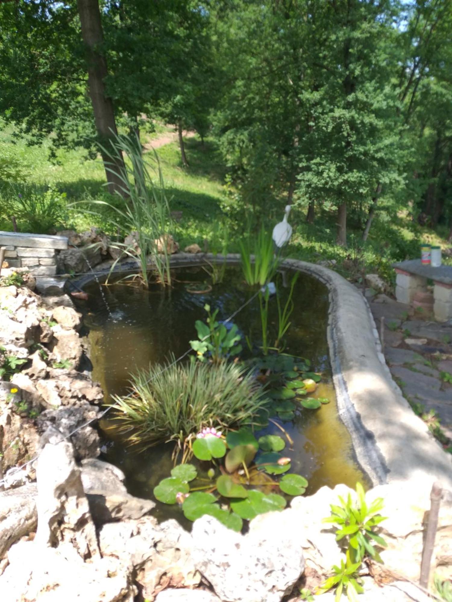B&B La Bianchina Monale Bagian luar foto
